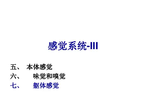 神经生物学第五章、感觉系统-3