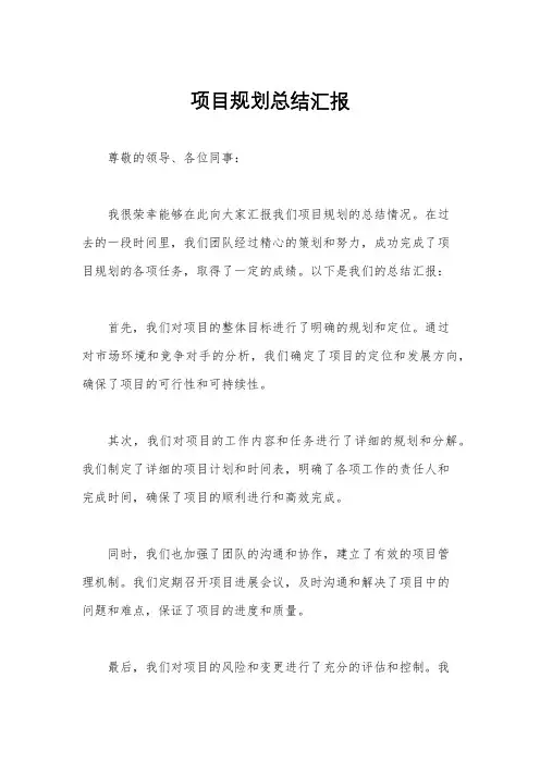 项目规划总结汇报