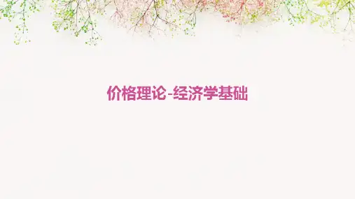 价格理论-经济学基础