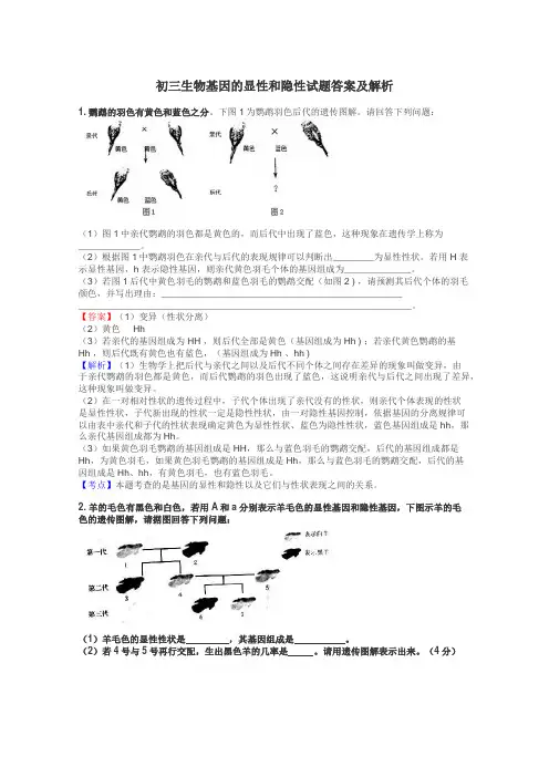 初三生物基因的显性和隐性试题答案及解析
