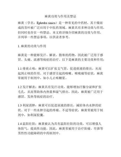 麻黄功效与作用及禁忌