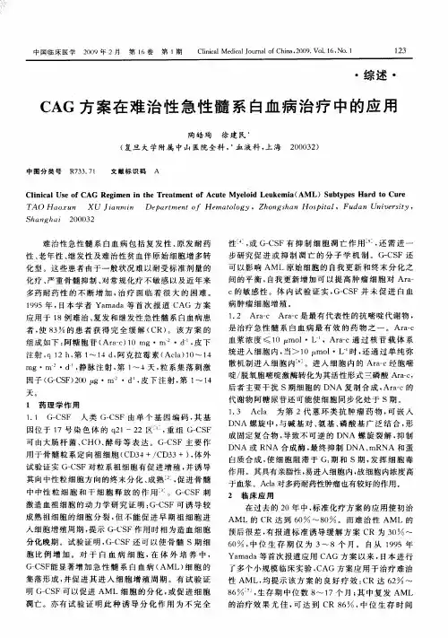 CAG方案在难治性急性髓系白血病治疗中的应用