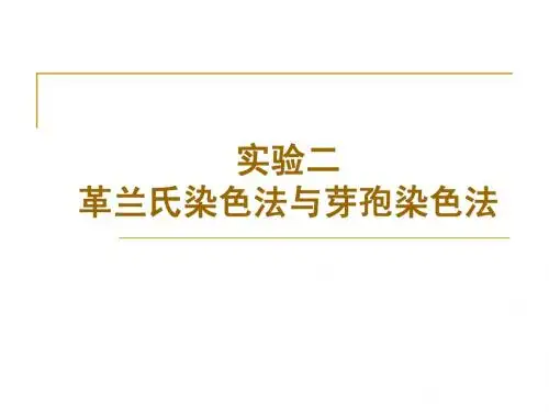 02 革兰氏染色法与芽孢染色法