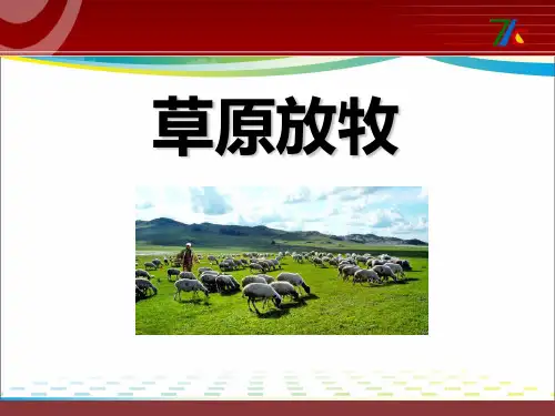 《草原放牧》PPT课件2【优秀课件推荐】