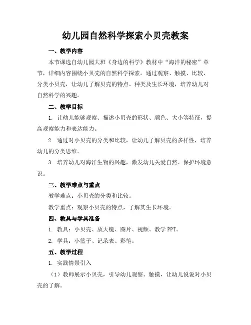 幼儿园自然科学探索小贝壳教案
