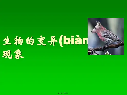 小学科学苏教版六年级下册——生物的变异现象