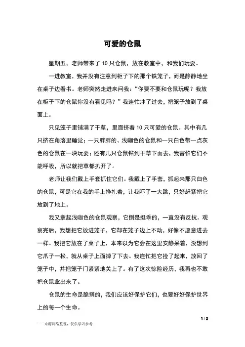 可爱的仓鼠_六年级作文_1