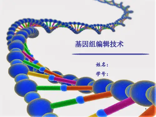 CRISPR基因编辑技术ppt课件