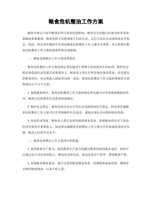 粮食危机整治工作方案