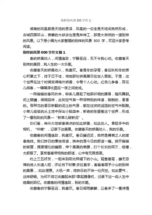 别样的风景800字作文_写景作文_
