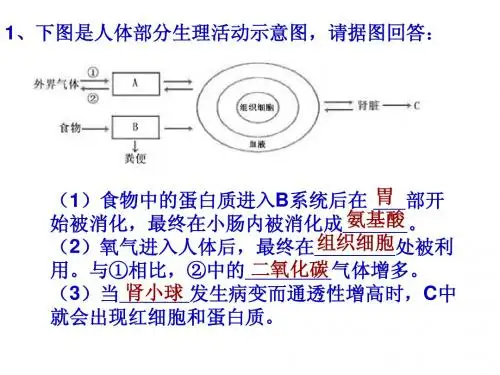 生物七下新陈代谢练习