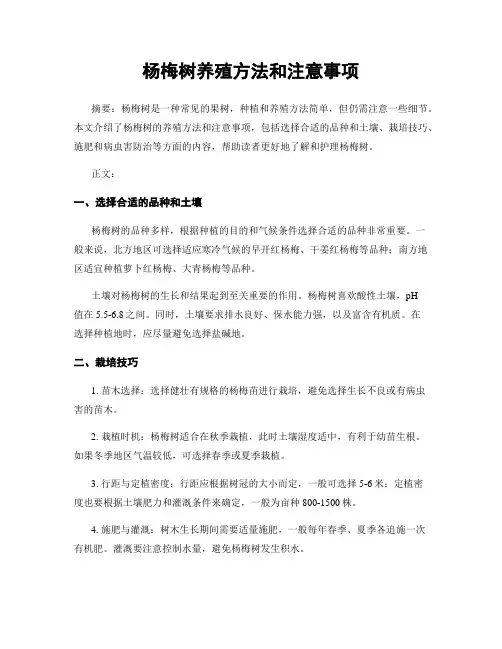 杨梅树养殖方法和注意事项
