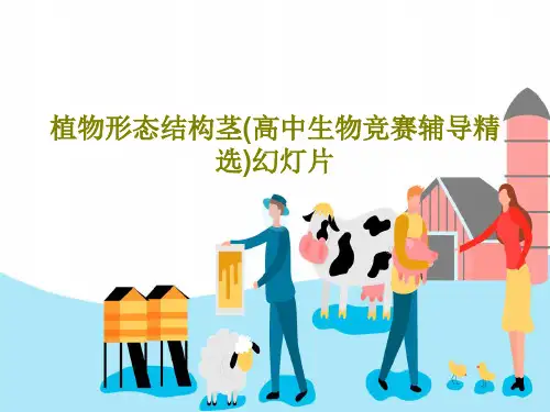 植物形态结构茎(高中生物竞赛辅导精选)幻灯片共42页PPT