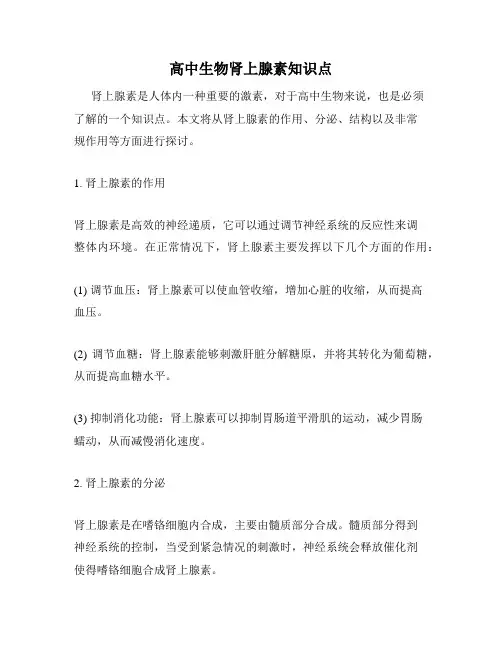 高中生物肾上腺素知识点