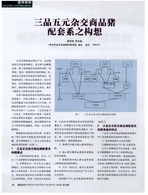 三品五元杂交商品猪配套系之构想