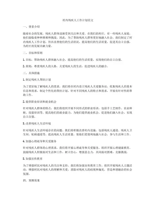 村内残疾人工作计划范文