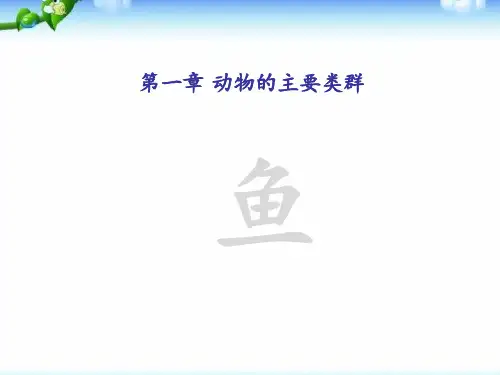 新人教版八年级生物上册《鱼》教学ppt课件