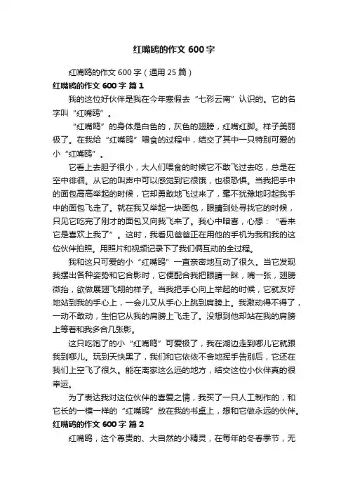 红嘴鸥的作文600字（通用25篇）