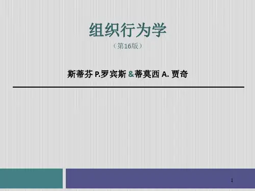 组织行为学全套课件(罗宾斯版)