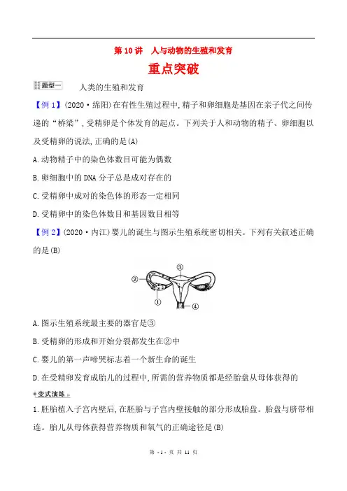 2021年华东师大版科学中考一轮复习 第10讲 人与动物的生殖和发育(含答案)