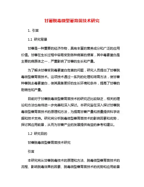 甘薯脱毒微型薯育苗技术研究