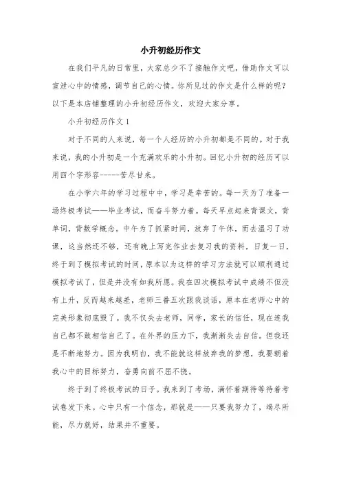 小升初经历作文