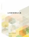公司营销策划方案