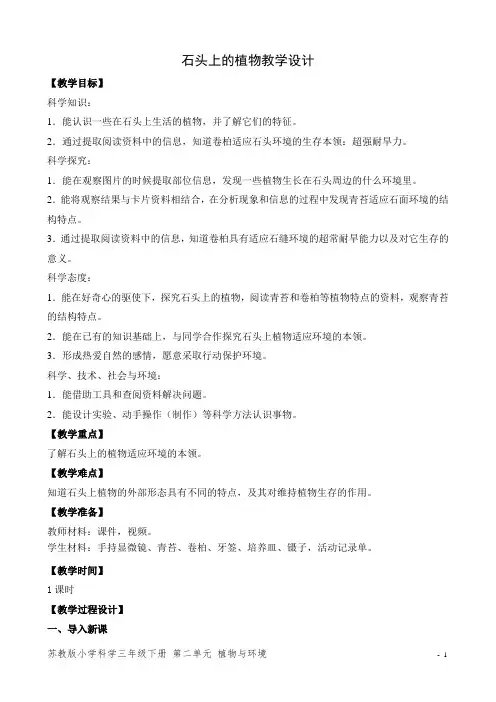 石头上的植物教学设计