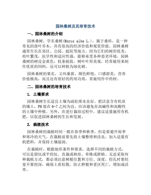 园林桑树及其培育技术
