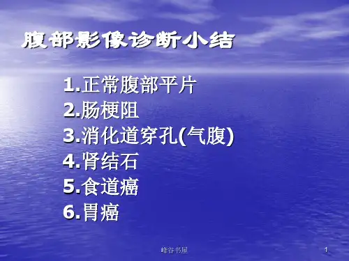 执业医师技能考试 X线、CT、B超  辅导[研究材料]