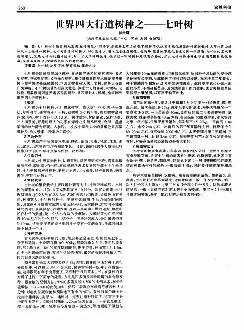 世界四大行道树种之——七叶树