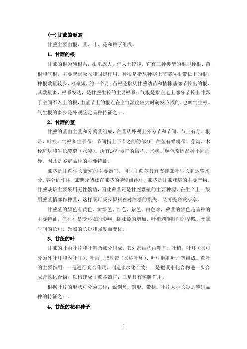 （一）甘蔗的形态