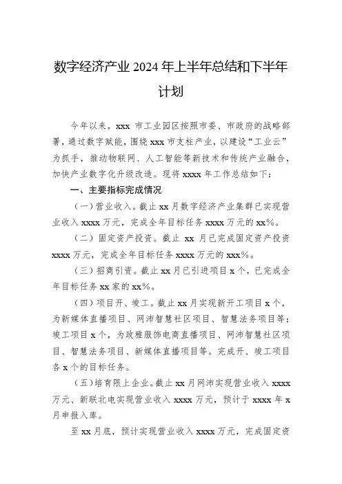 数字经济产业2024年上半年总结和下半年计划