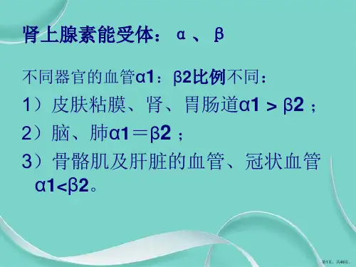 ICU常用血管活性药物