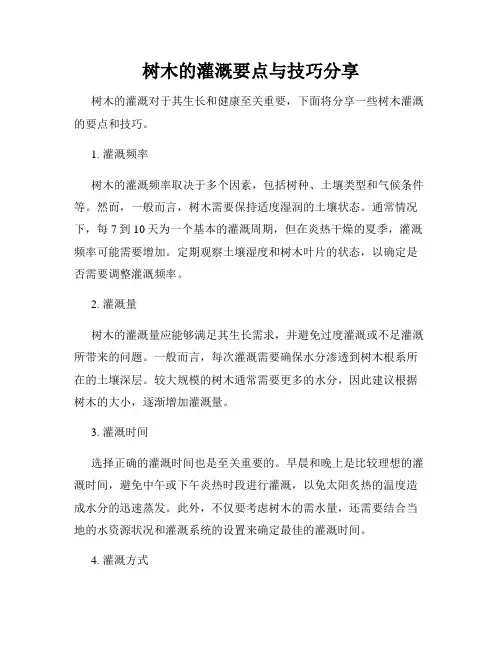 树木的灌溉要点与技巧分享