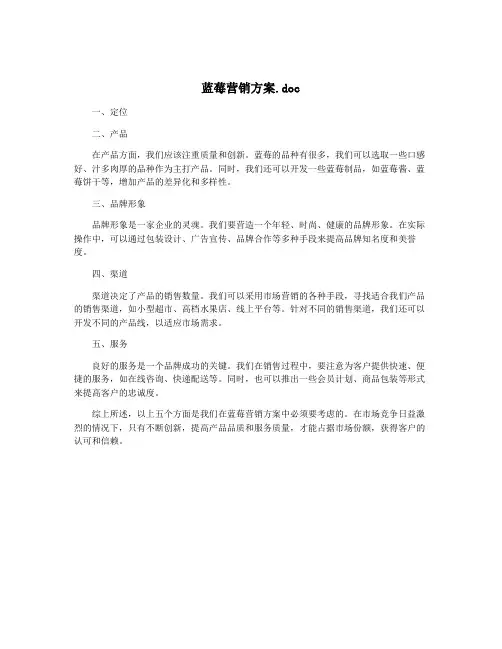 蓝莓营销方案.doc