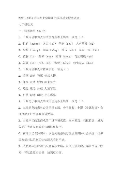 山东省临沂市兰山区2023-2024学年七年级上册期中语文试题(含解析)