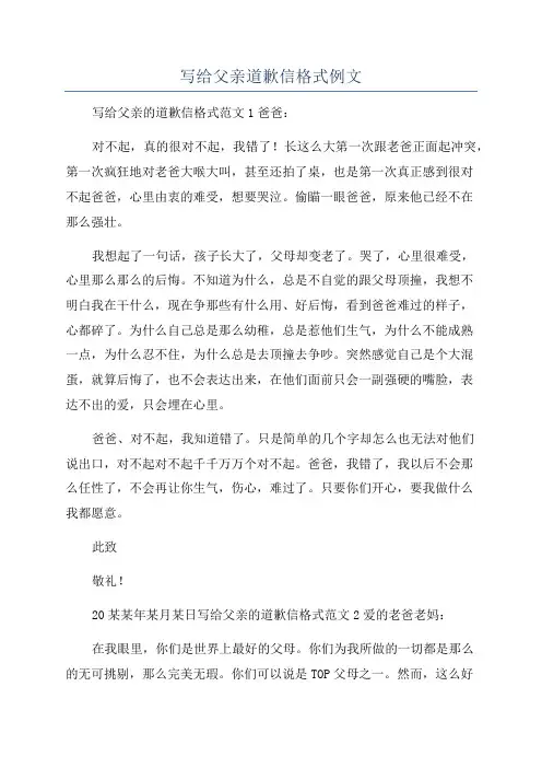写给父亲道歉信格式例文