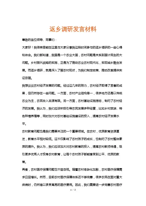 返乡调研发言材料