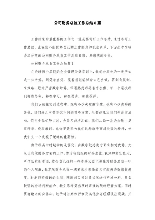 公司财务总监工作总结8篇