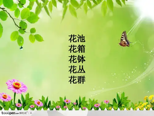 花池、花箱、花钵、花丛、花群
