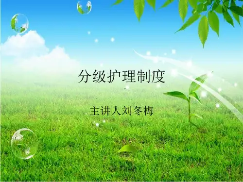 分级护理制度