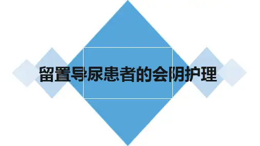 留置导尿患者的会阴护理