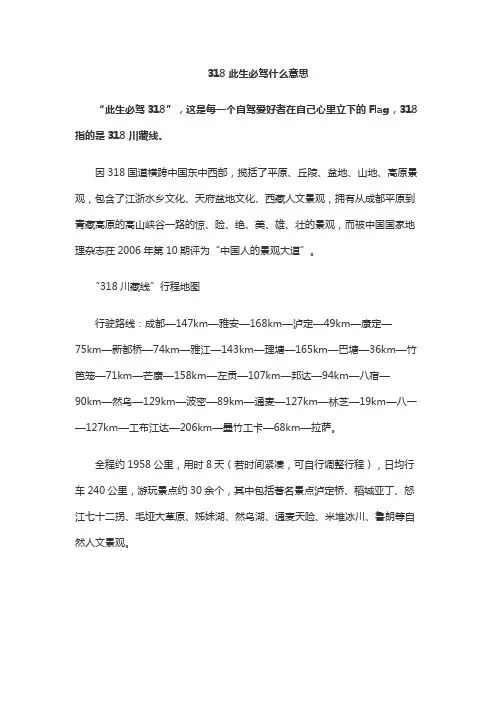 318此生必驾什么意思