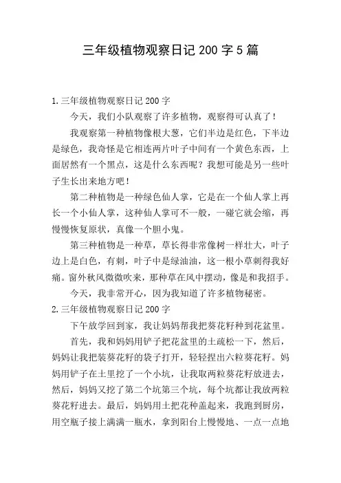 三年级植物观察日记200字5篇