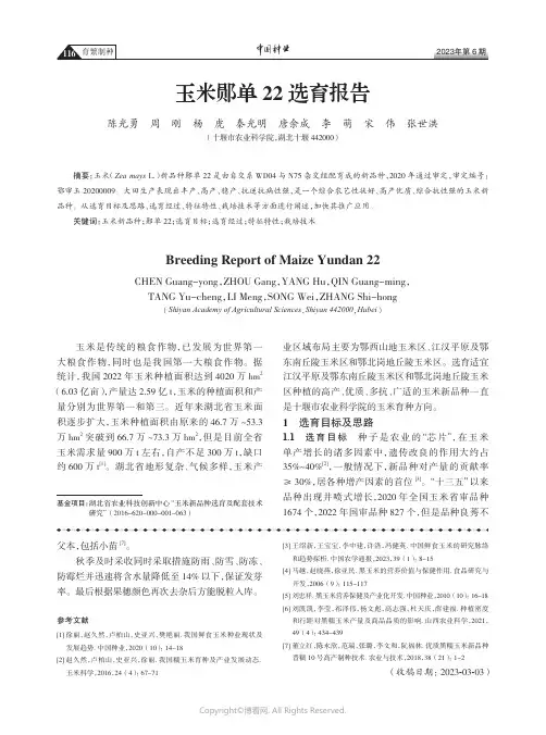 玉米郧单22_选育报告