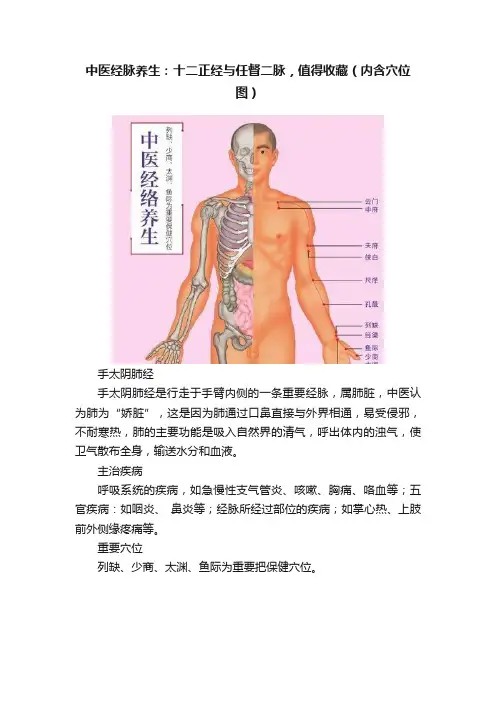 中医经脉养生：十二正经与任督二脉，值得收藏（内含穴位图）