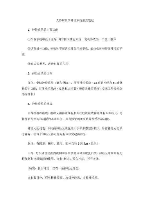 人体解剖学神经系统重点笔记