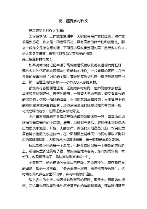高二感受乡村作文（6篇）