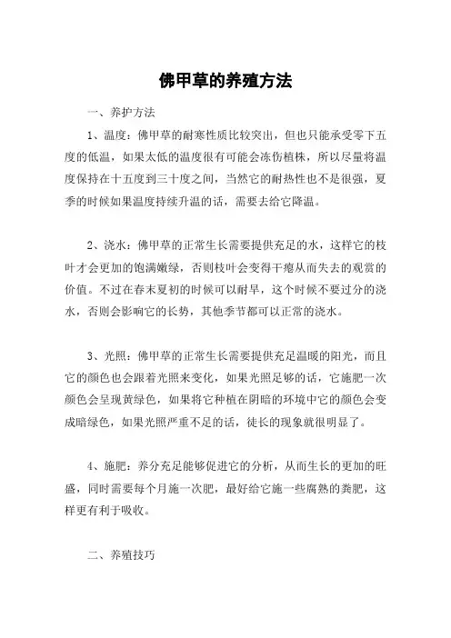 佛甲草的养殖方法